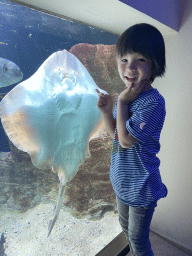 Max with a Stingray at the Aquarium of the Antwerp Zoo