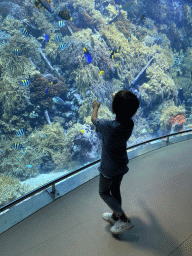 Max at the Reef Aquarium at the Aquarium of the Antwerp Zoo