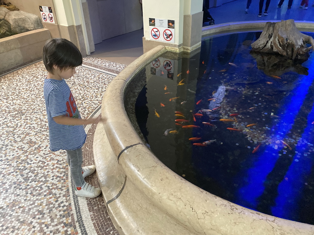 Max and goldfish at the Aquarium of the Antwerp Zoo