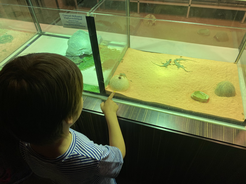 Max with baby Lizards at the Reptile House at the Antwerp Zoo