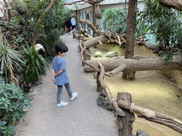 Max and Tortoises at the Reptile House at the Antwerp Zoo