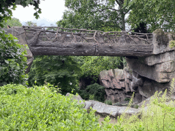 Bridge near the Lion enclosure at the Antwerp Zoo