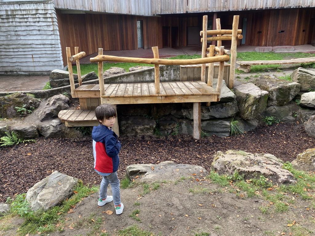 Max at the playground at the former Spectacled Bear enclosure at the Antwerp Zoo