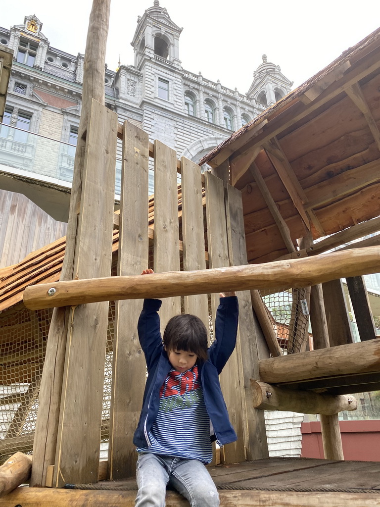 Max at the playground at the former Spectacled Bear enclosure at the Antwerp Zoo