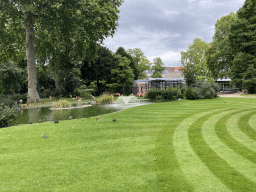 Flamingos, grassland and fountain at the Antwerp Zoo