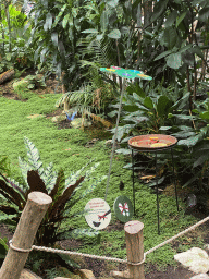 Butterflies at the Butterfly Garden at the Antwerp Zoo