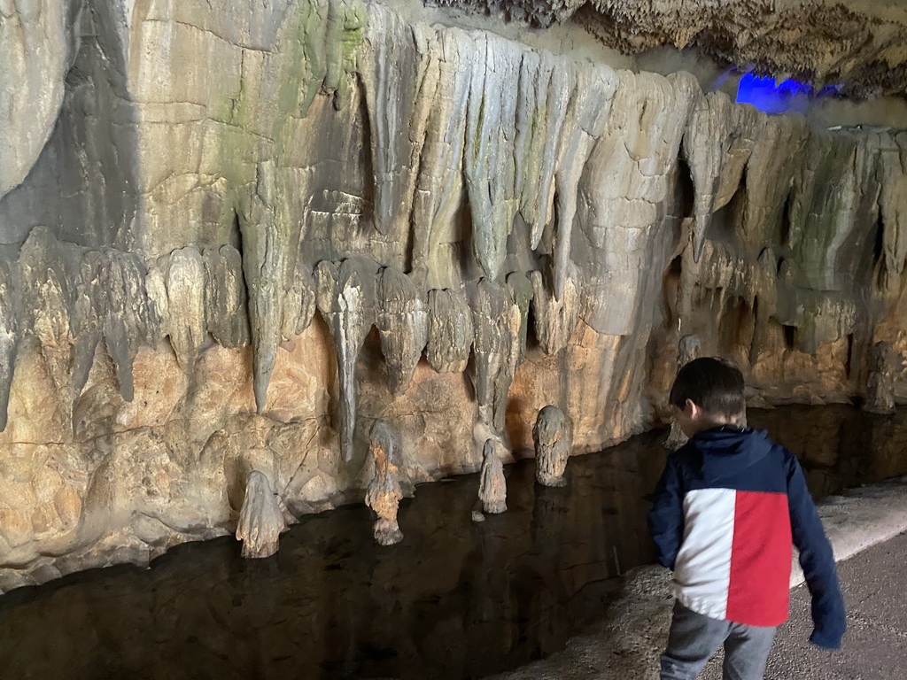 Max at the Kitum Cave at the Antwerp Zoo