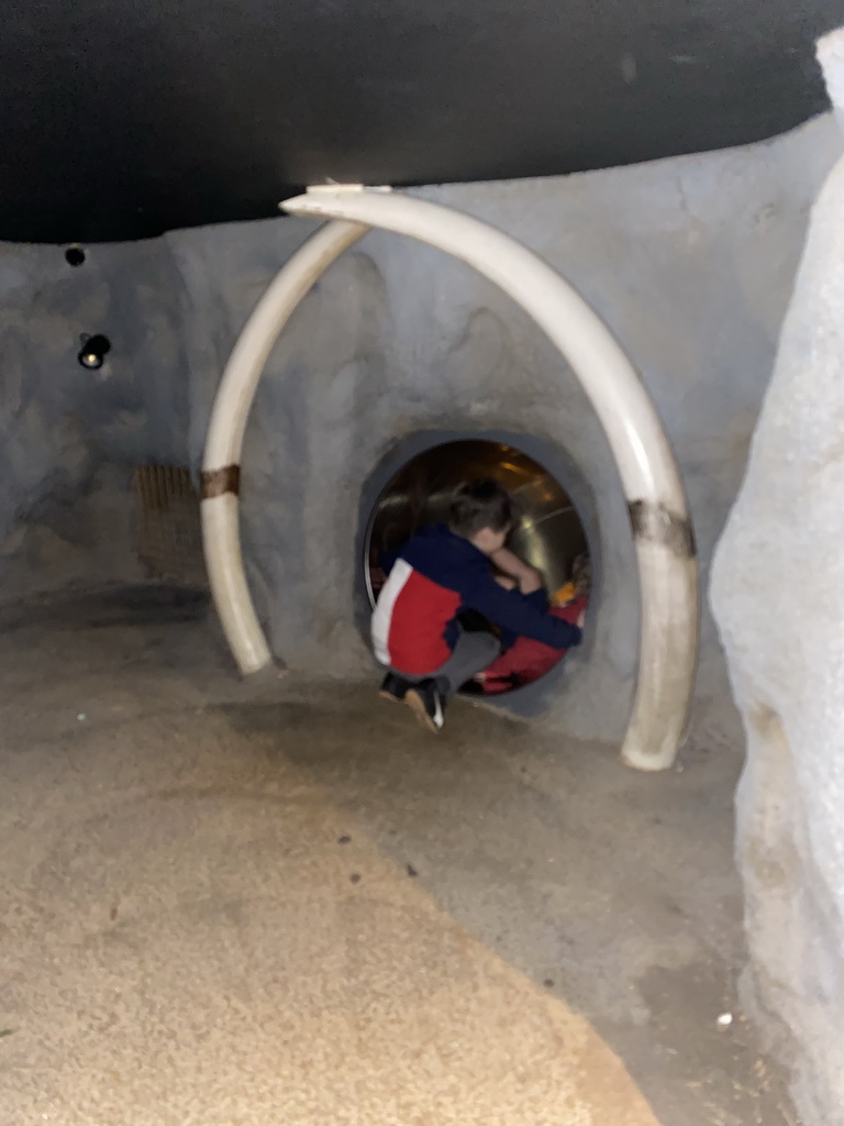 Max on top of the slide at the Kitum Cave at the Antwerp Zoo