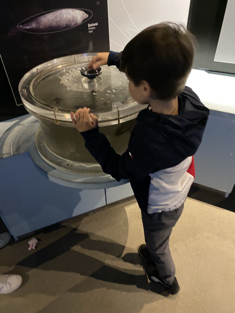 Max playing a game at the Vriesland building at the Antwerp Zoo