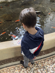 Max looking at goldfish at the Aquarium of the Antwerp Zoo