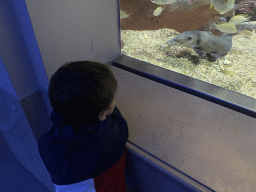 Max with a Suckermouth Catfish at the Aquarium of the Antwerp Zoo