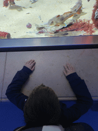 Max with fishes at the Aquarium of the Antwerp Zoo
