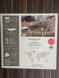 Explanation on the Mexican Beaded Lizard at the Reptile House at the Antwerp Zoo