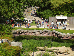The Lion enclosure and the Lion`s Path playground at the Antwerp Zoo, viewed from the upper walkway