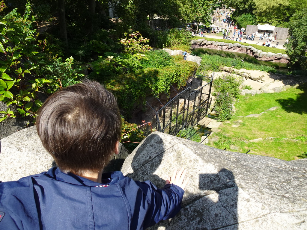 Max at the upper walkway at the Antwerp Zoo, with a view on the Lions