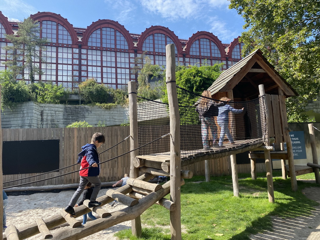 Max on a rope bridge at the Lion`s Path playground at the Antwerp Zoo