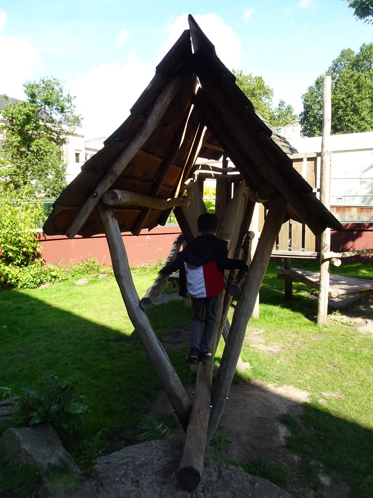 Max on a pile bridge at the Bear Valley playground at the Antwerp Zoo