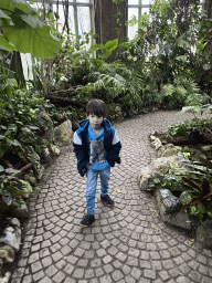 Max at the Butterfly Garden at the Antwerp Zoo