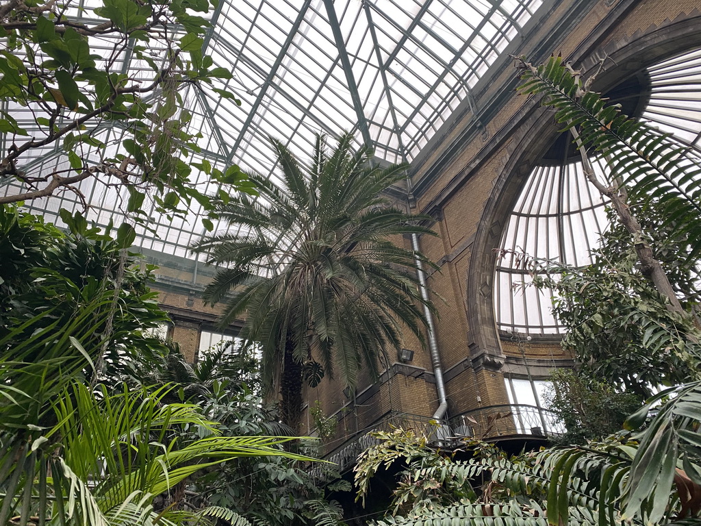 Interior of the Butterfly Garden at the Antwerp Zoo