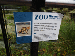 Sign about a wild Fox at the Rotunda Building at the Antwerp Zoo