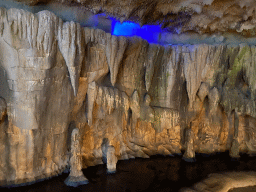 Interior of the Kitum Cave at Antwerp Zoo