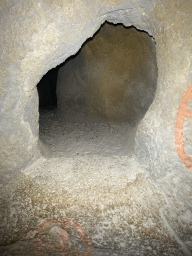 Small cave at the Kitum Cave at Antwerp Zoo