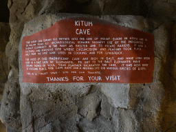 Information on the Kitum Cave at Antwerp Zoo