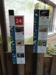 Explanations on the bird species in the Aviary next to the Hippotopia building at the Antwerp Zoo