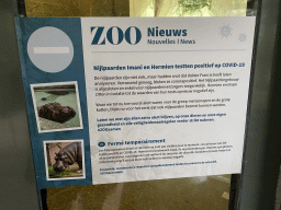Information on the COVID-19 infections of the Hippopotamuses at the Hippotopia building at the Antwerp Zoo