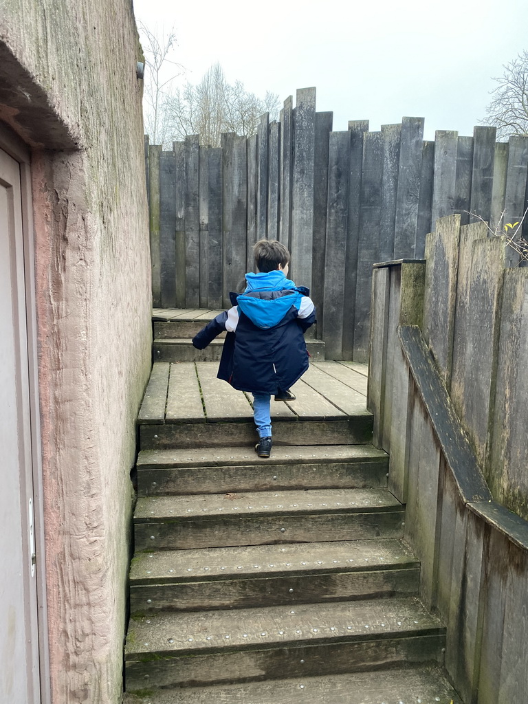 Max on the platform above the Hippotopia building at the Antwerp Zoo