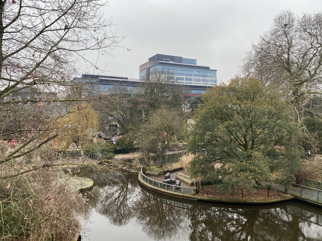 Pond at the Antwerp Zoo, viewed from the platform above the Hippotopia building at the Antwerp Zoo