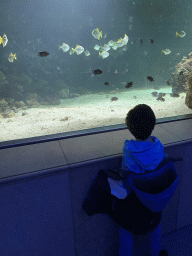 Max with fishes at the Aquarium of the Antwerp Zoo