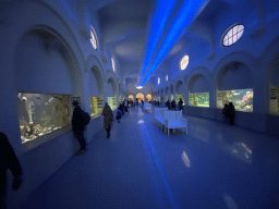 Interior of the Aquarium of the Antwerp Zoo