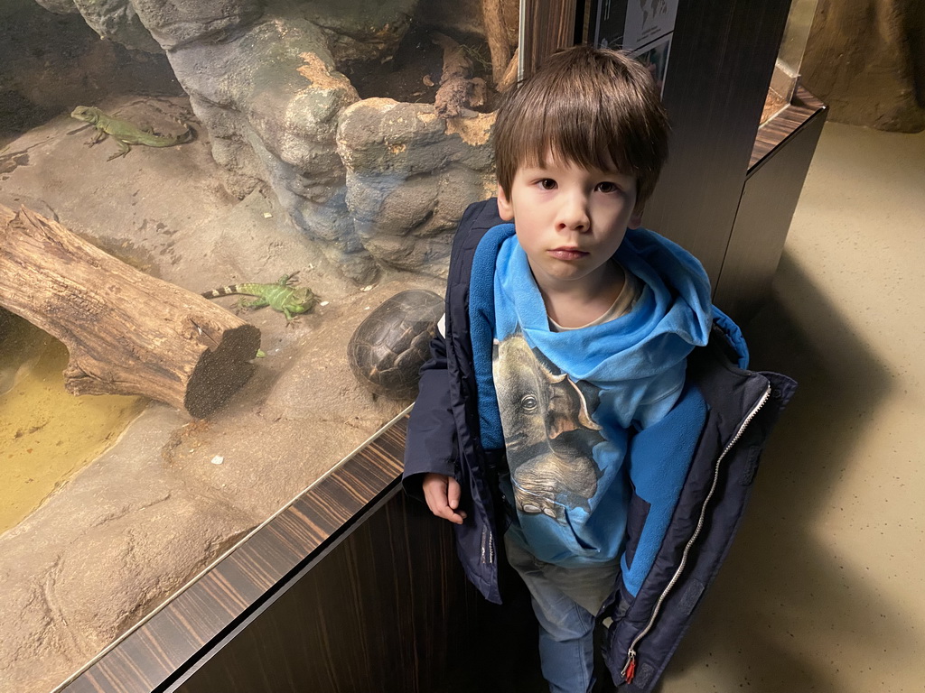 Max with a Lizard and a Tortoise at the Reptile House at the Antwerp Zoo