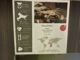 Explanation on the African Clawed Frog at the Reptile House at the Antwerp Zoo
