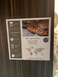 Explanation on the Brazilian Rainbow Boa at the Reptile House at the Antwerp Zoo