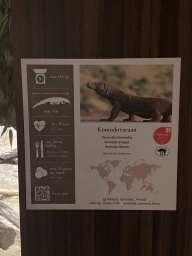 Explanation on the Komodo Dragon at the Reptile House at the Antwerp Zoo