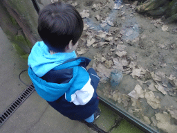 Max with a Meerkat at the Antwerp Zoo