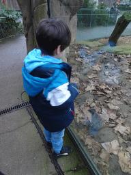 Max with a Meerkat at the Antwerp Zoo