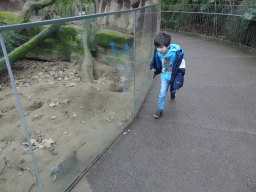 Max with a Meerkat at the Antwerp Zoo