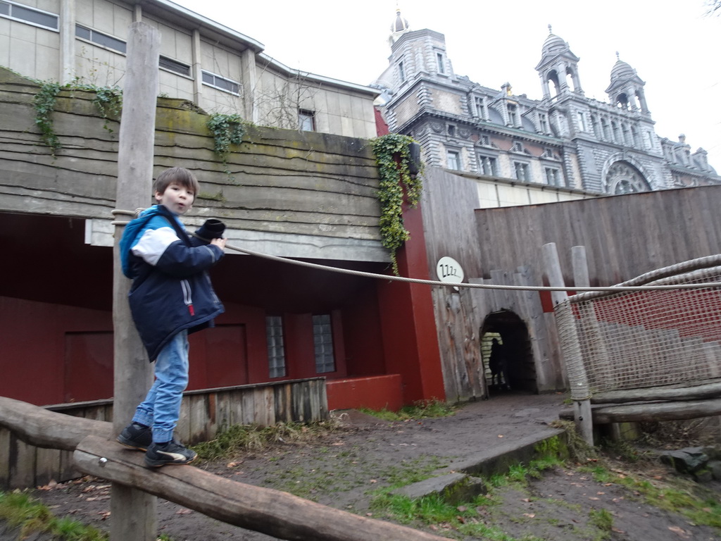 Max on a rope bridge at the Bear Valley playground at the Antwerp Zoo