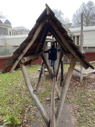 Max on a pole bridge at the Bear Valley playground at the Antwerp Zoo