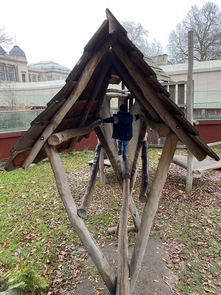 Max on a pole bridge at the Bear Valley playground at the Antwerp Zoo