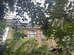 Interior of the Butterfly Garden at the Antwerp Zoo