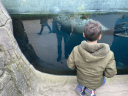 Max with a Common Seal under water at the Antwerp Zoo