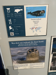 Explanation on the Common Seal at the Vriesland building at the Antwerp Zoo