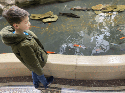 Max with Goldfishes and other fishes at the entrance to the Aquarium of the Antwerp Zoo