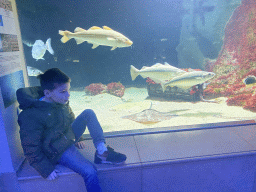 Max with Stingrays and other fishes at the Aquarium of the Antwerp Zoo