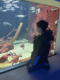Max with fishes at the Aquarium of the Antwerp Zoo