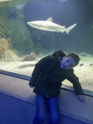 Max with a Shark and other fishes at the Aquarium of the Antwerp Zoo